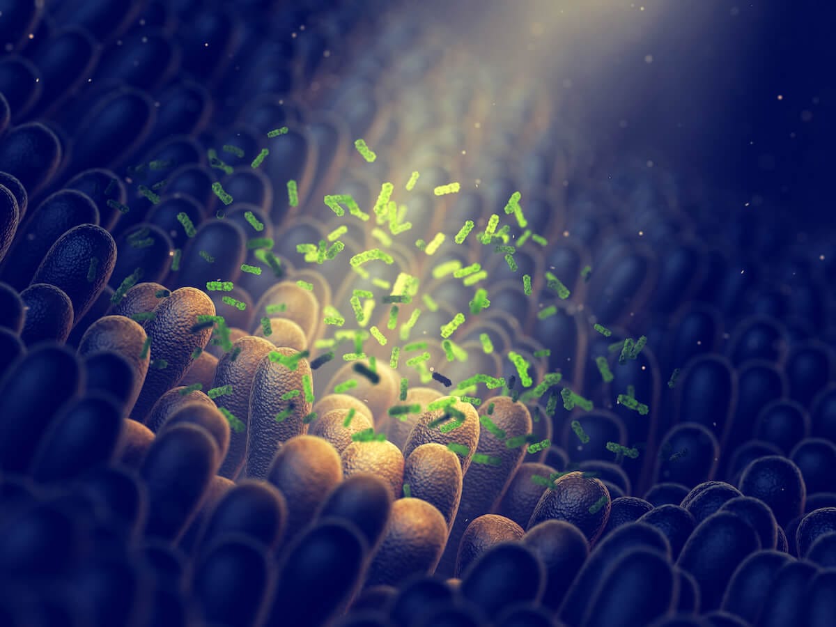 Intestinal,Bacteria,,Gut,Flora,Health,,3d,Illustration