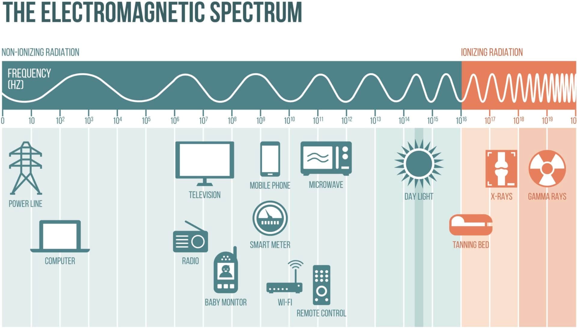 Electromagnetic Spectrum