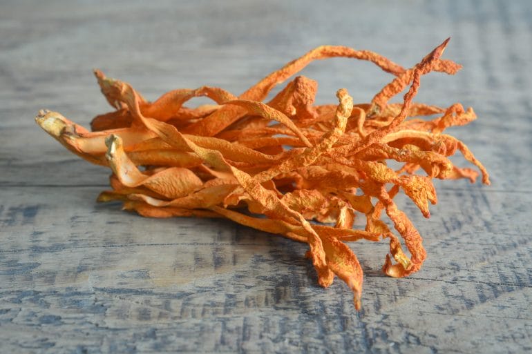 Cordyceps.