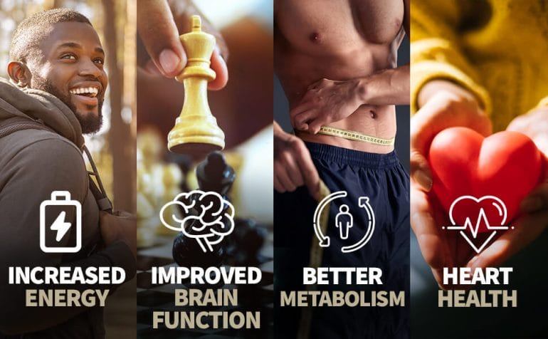 Benefits of consuming organ meat