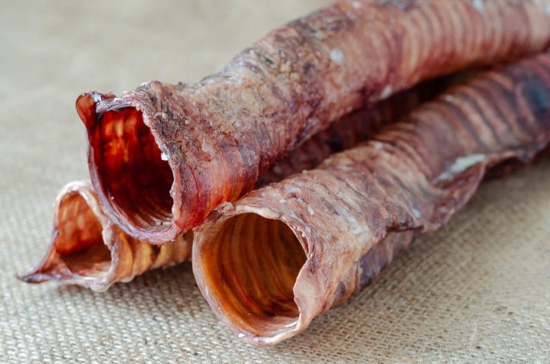 Dried beef trachea, which also makes for a great snack for your dog.