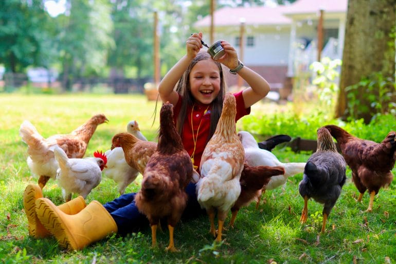 Isabella playing with chickens