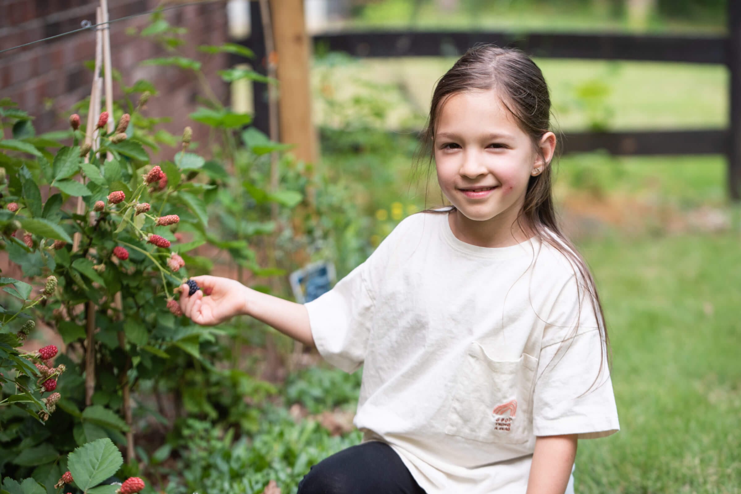 A photo of Michael Kummer's daughter Isabella picking berries.