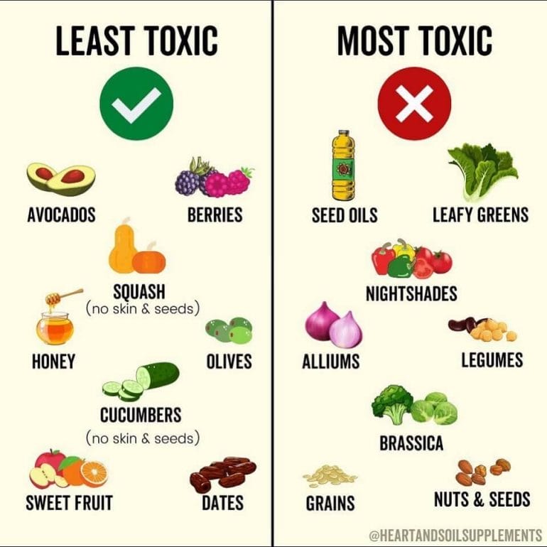 An illustration showing the relative toxicity of different fruits and vegetables.
