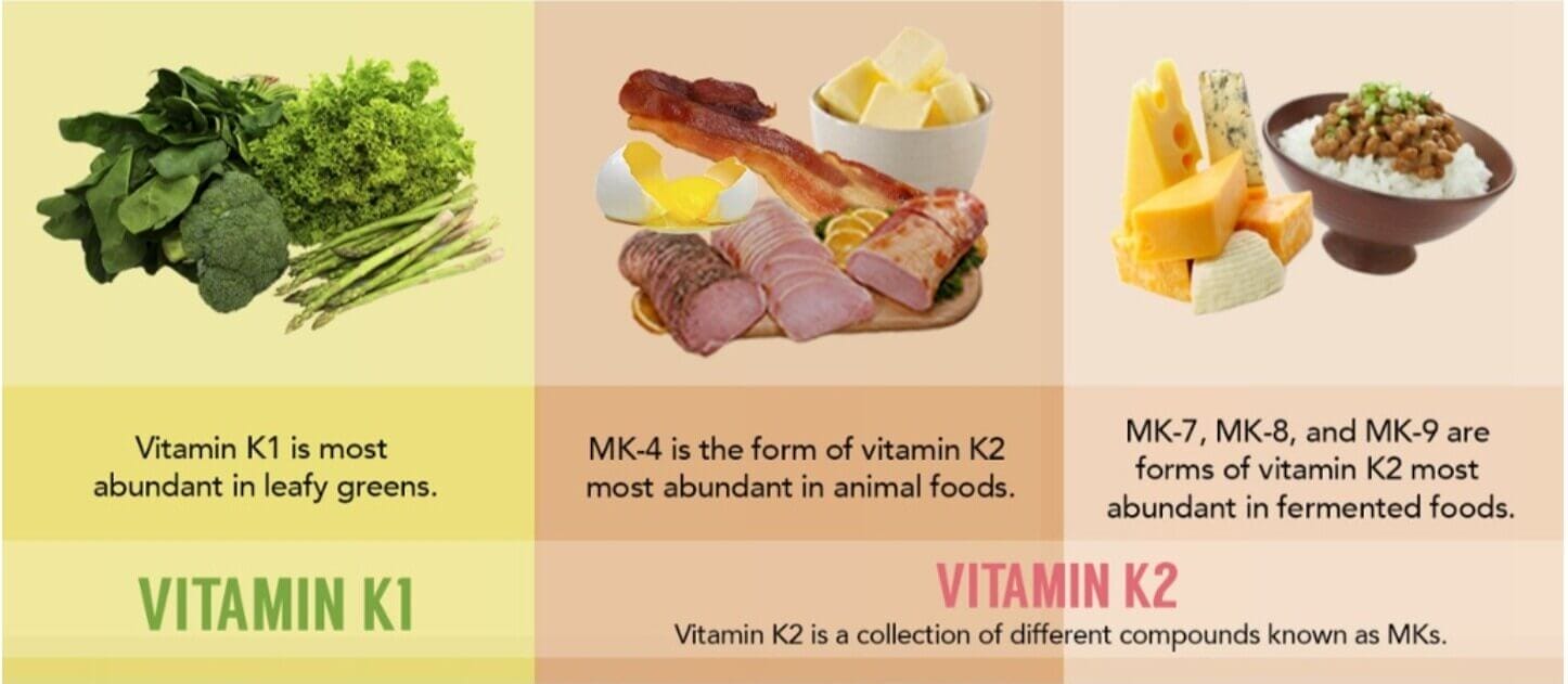 Graphic showing some foods with different types of Vitamin K.