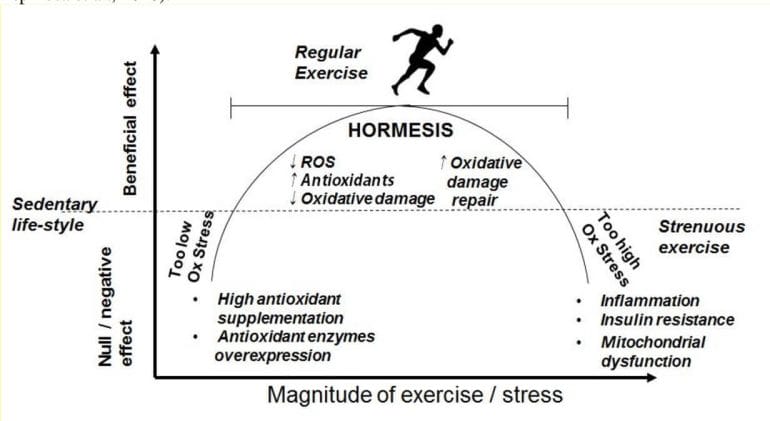 An infograph showing the effects of Hormesis.
