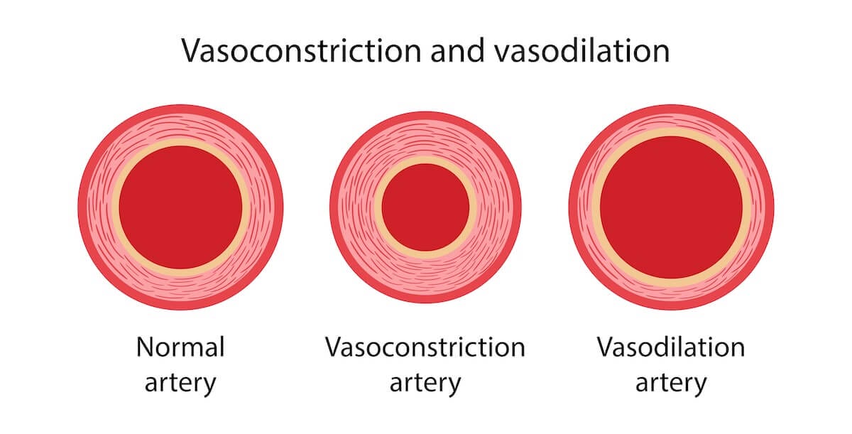 Infrared light causes your blood vessels to expand, thus reducing blood pressure.