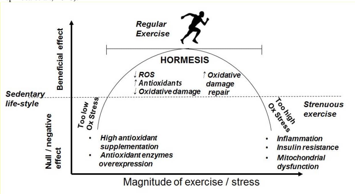 Much like exercise, cold exposure is a stressor that can make you stronger.