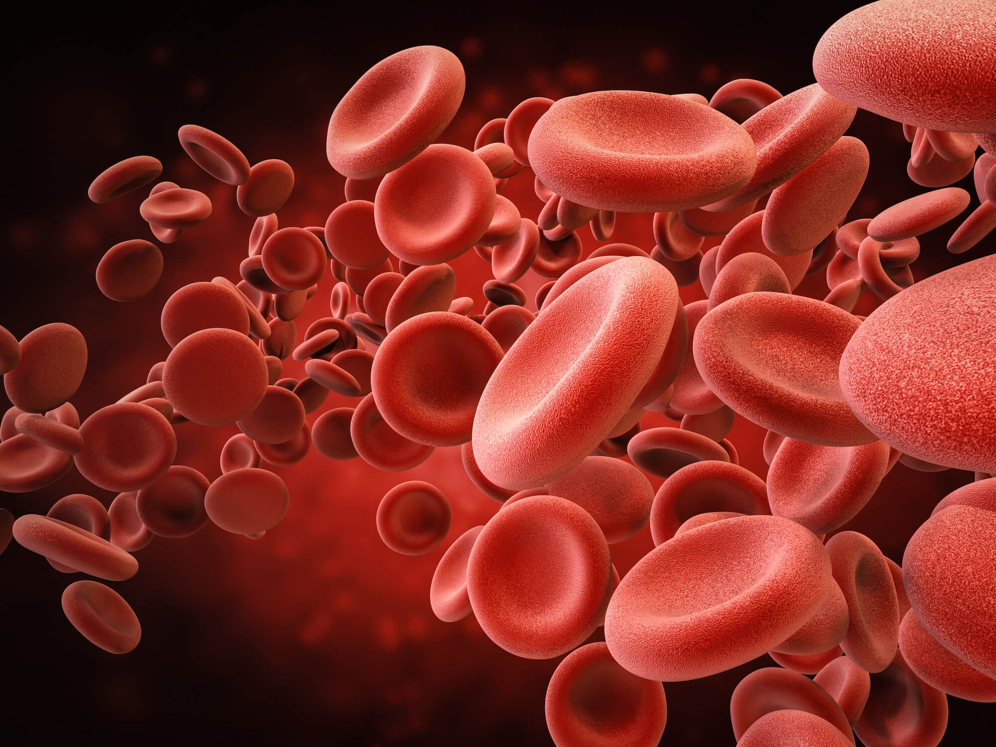 A 3D rendering of red blood cells inside a vein.