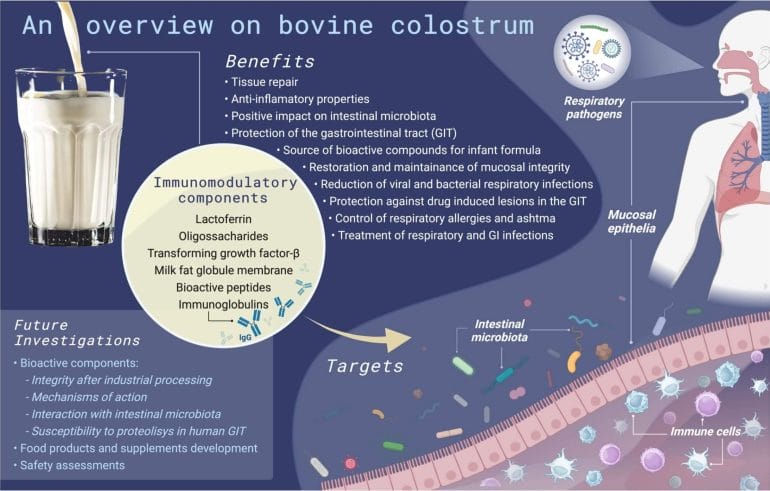 An overview of bovine colostrum benefits.