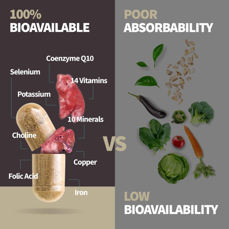 Fresh or freeze-dried beef liver contains highly bioavailable micronutrients