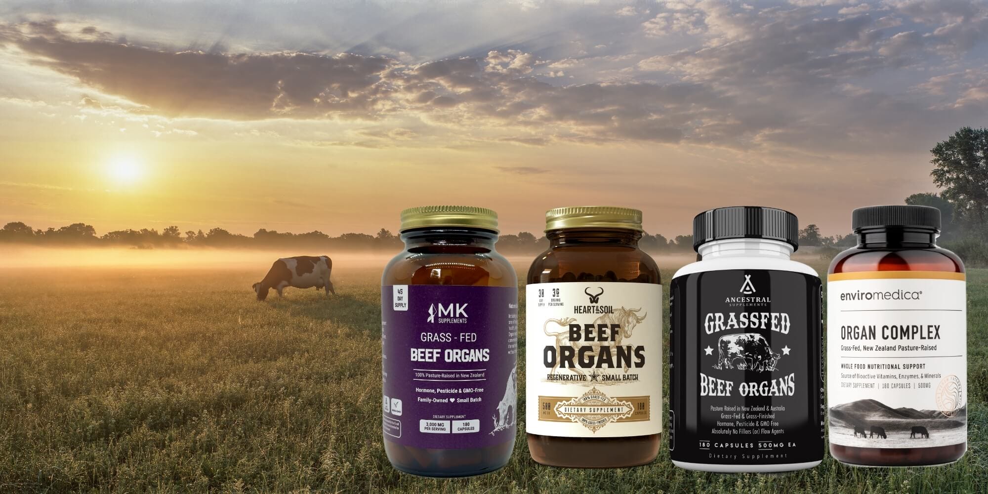 best beef organ meat supplements