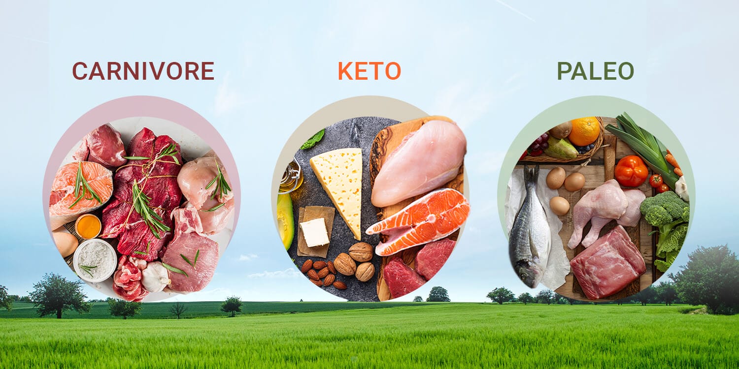 Paleo vs. Keto vs. Carnivore: What’s the Best Diet for Optimal Health?