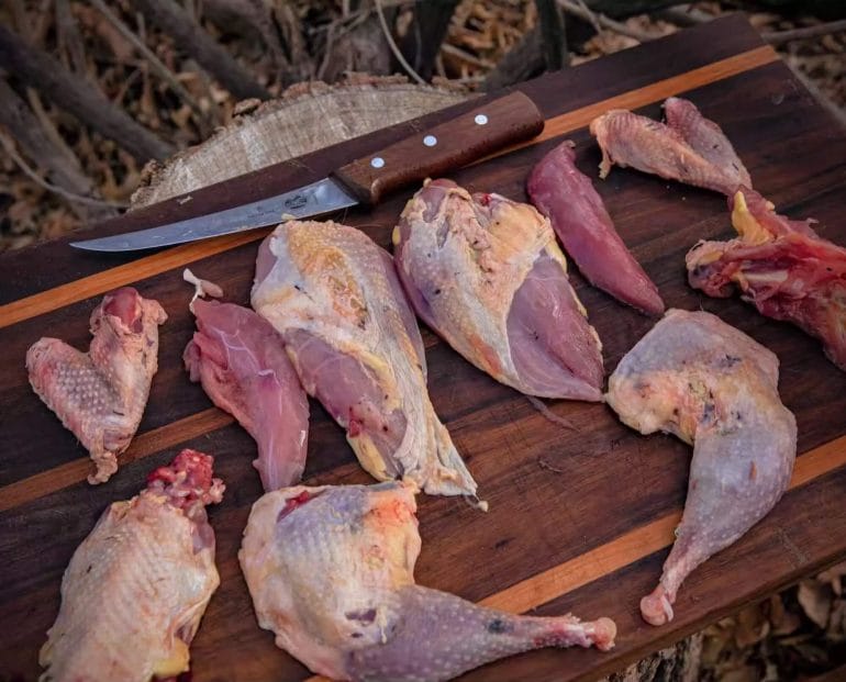 If prepared properly, wild fowl is a healthy source of nutrients including protein.