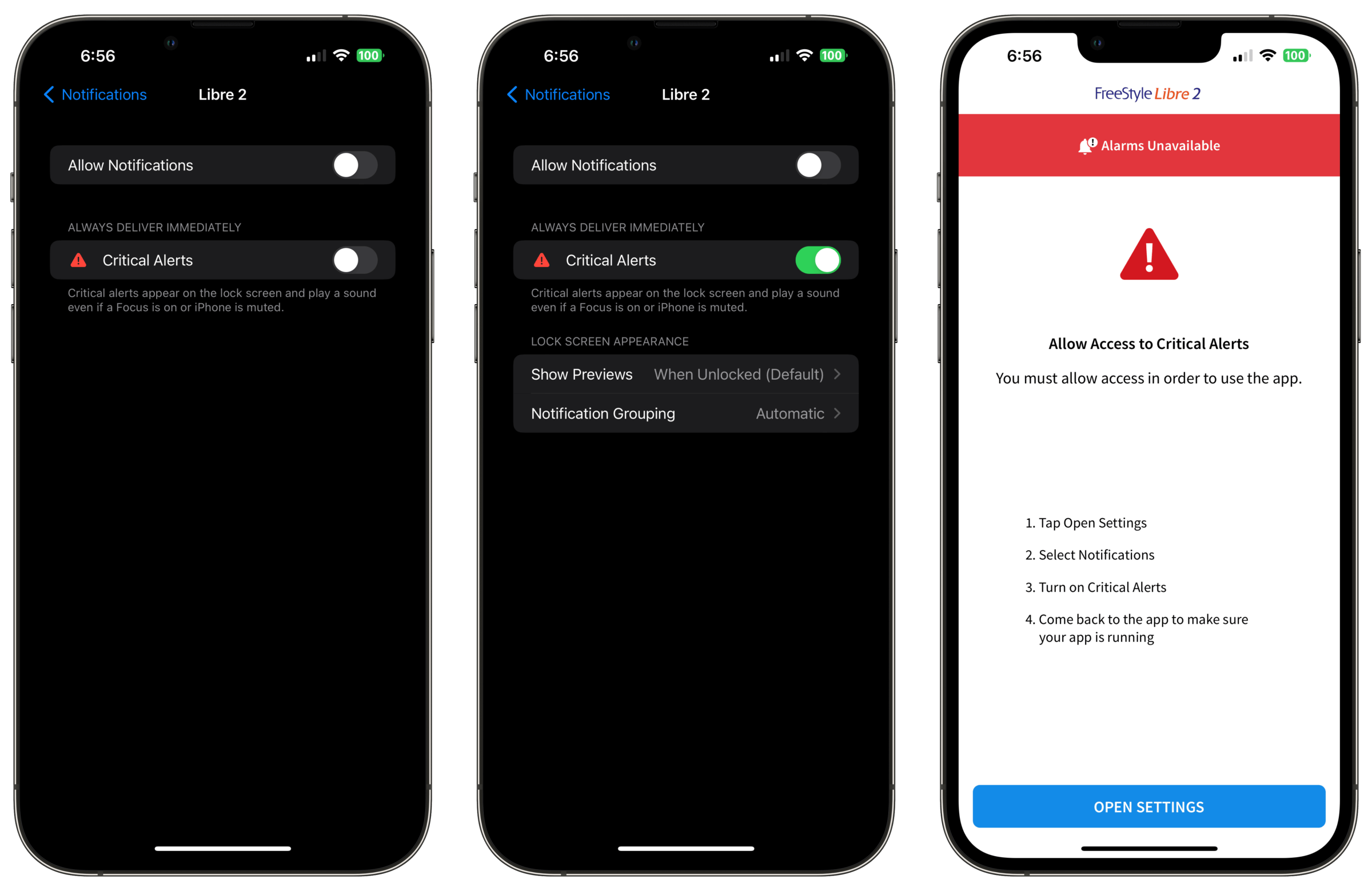 The FreeStyle Libre 2 and 3 require Critical Alerts to be enabled.