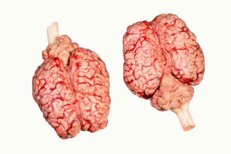 Beef brains