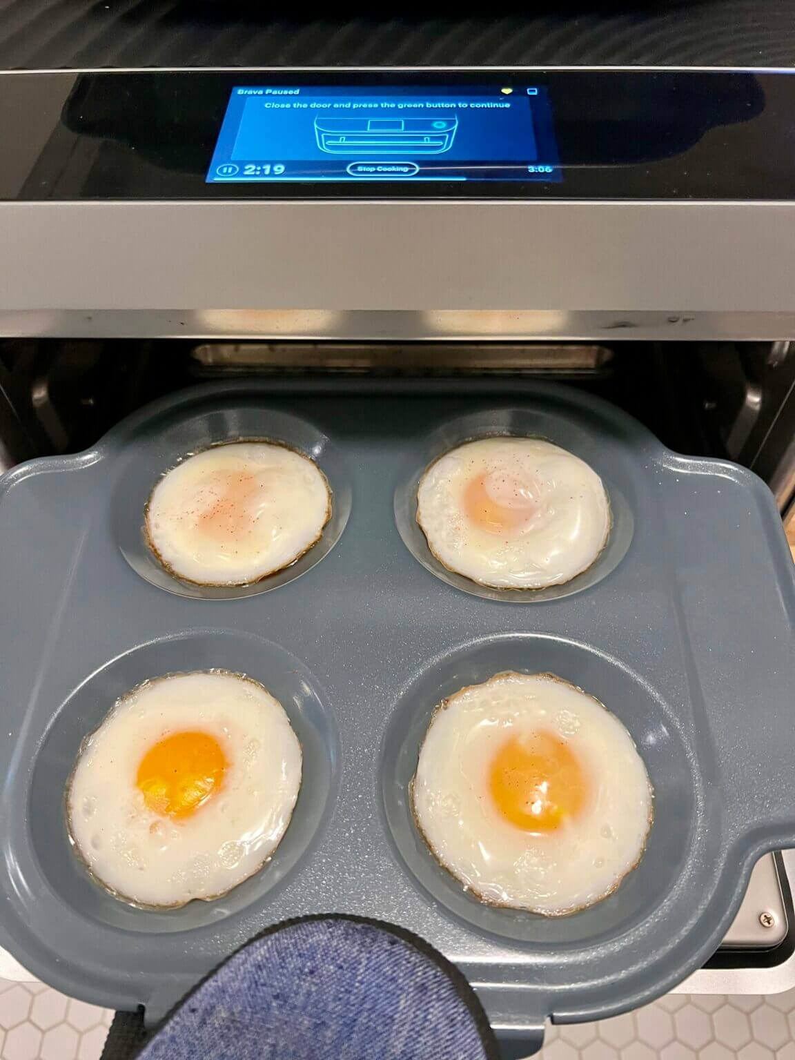 Brava Oven Review Does it Work for a MeatEating Family of Four?