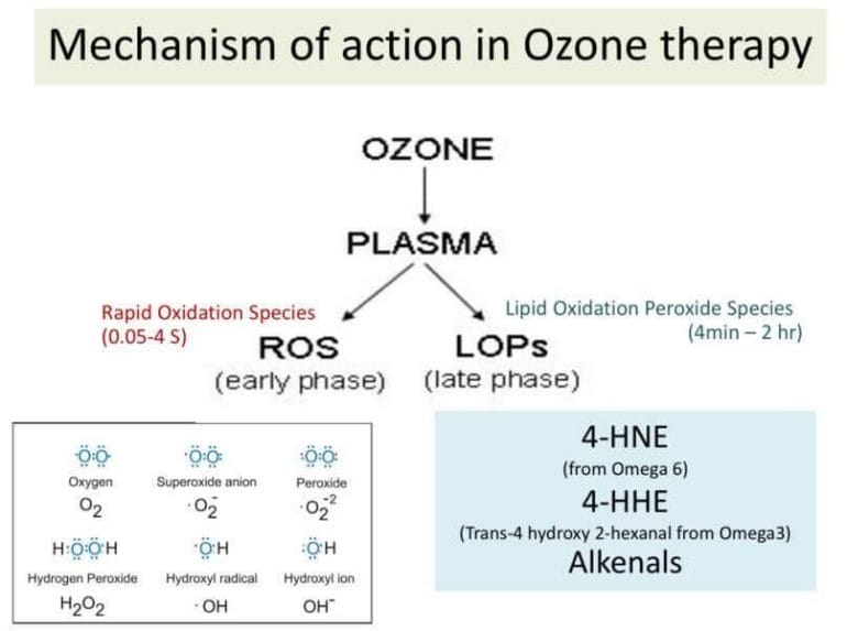 Mechanisms of action of ozone therapy.