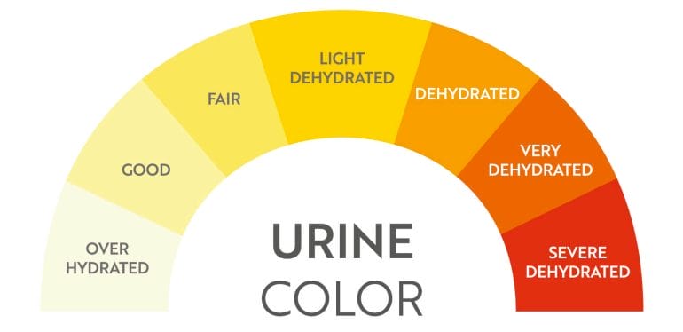 You can use this color chart to judge how well hydrated you are.