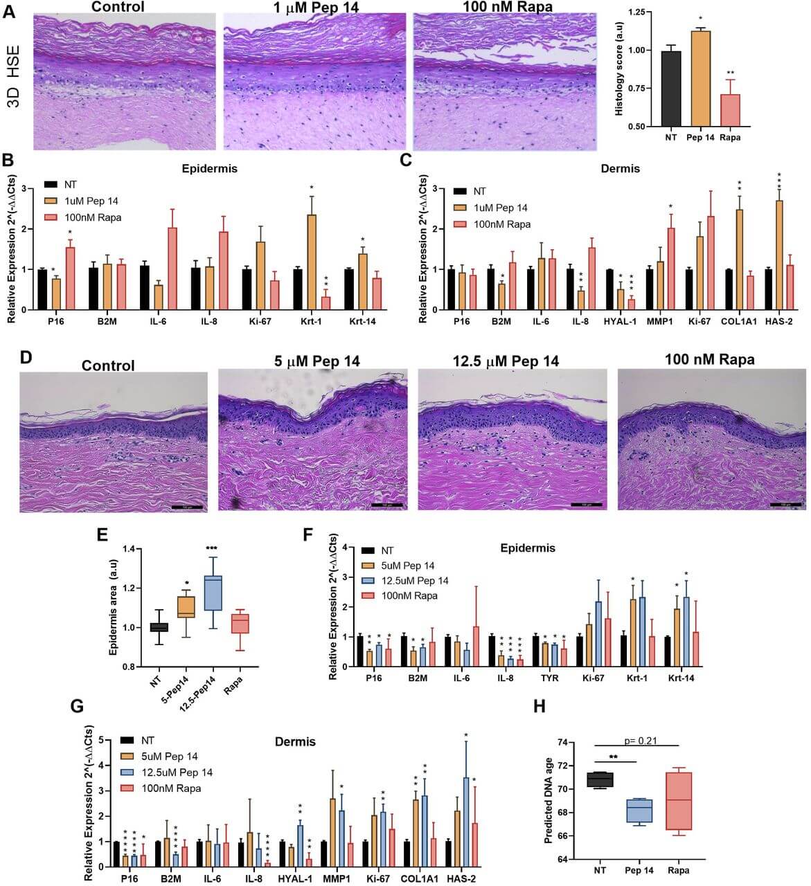 The OS-01 Peptide was significantly more effective at reducing biological skin age than rapamycin (a drug I experimented with as part of my antiaging regimen before)