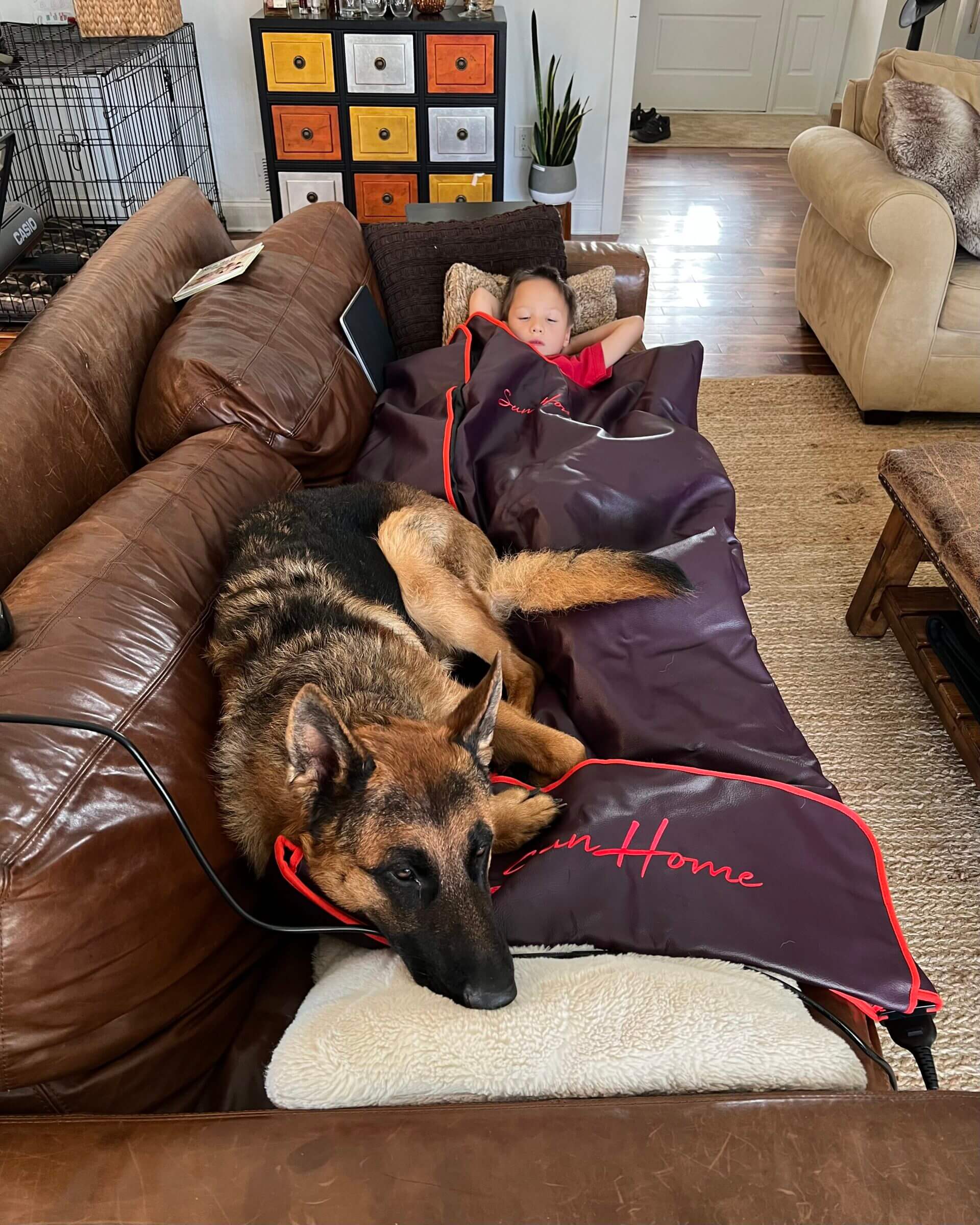 When our seven-year-old was sick, he used the sauna blanket to support his immune system.