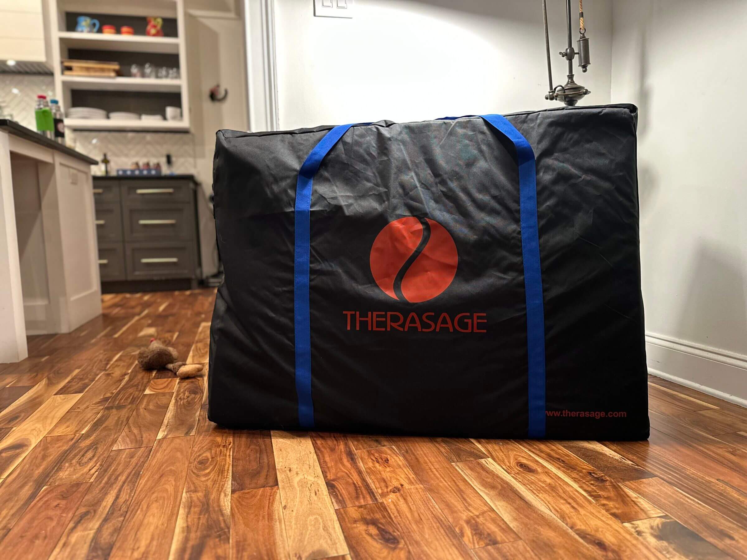 The Thera360 PLUS in its travel case.