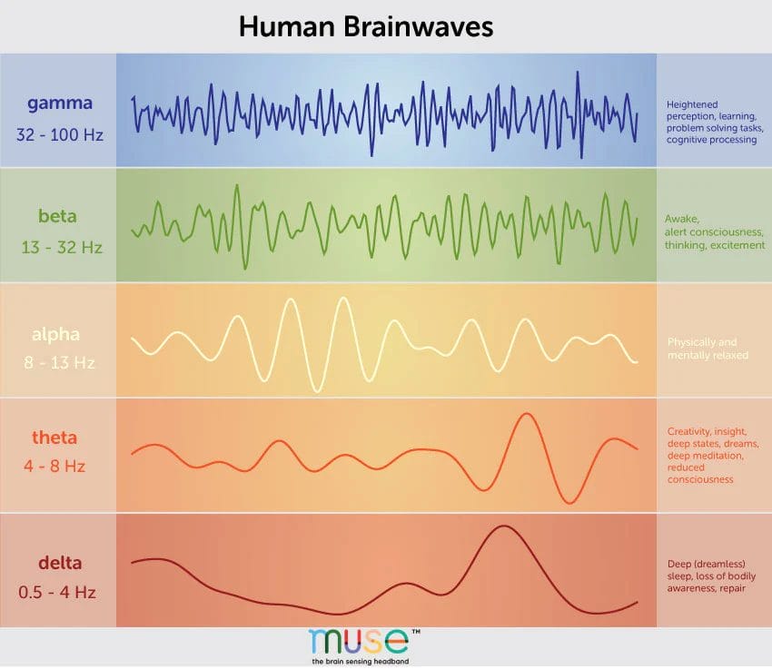A graphic showing examples of various human brainwaves.