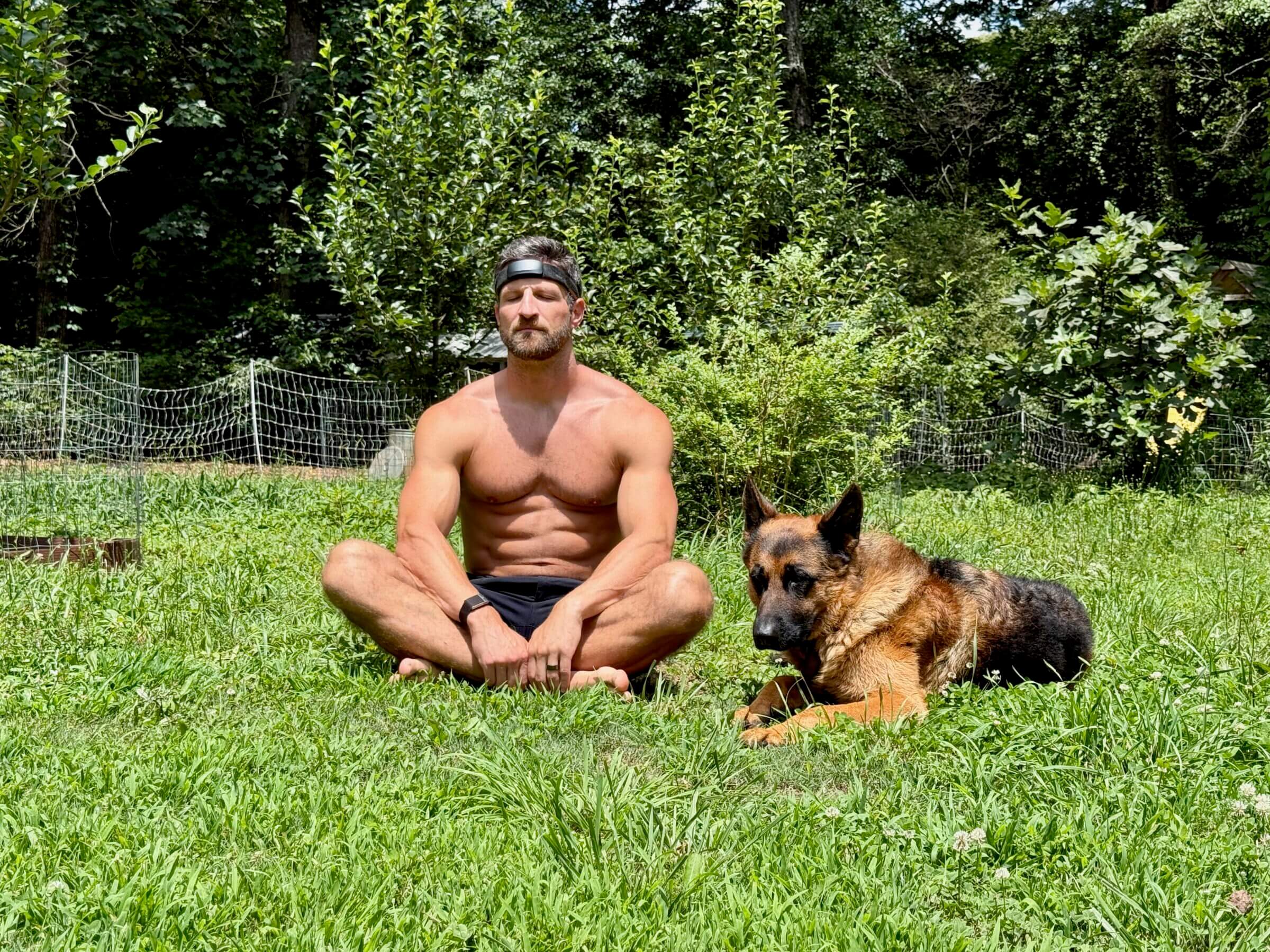 Meditation with Rib Eye is often among the highlights of my day.