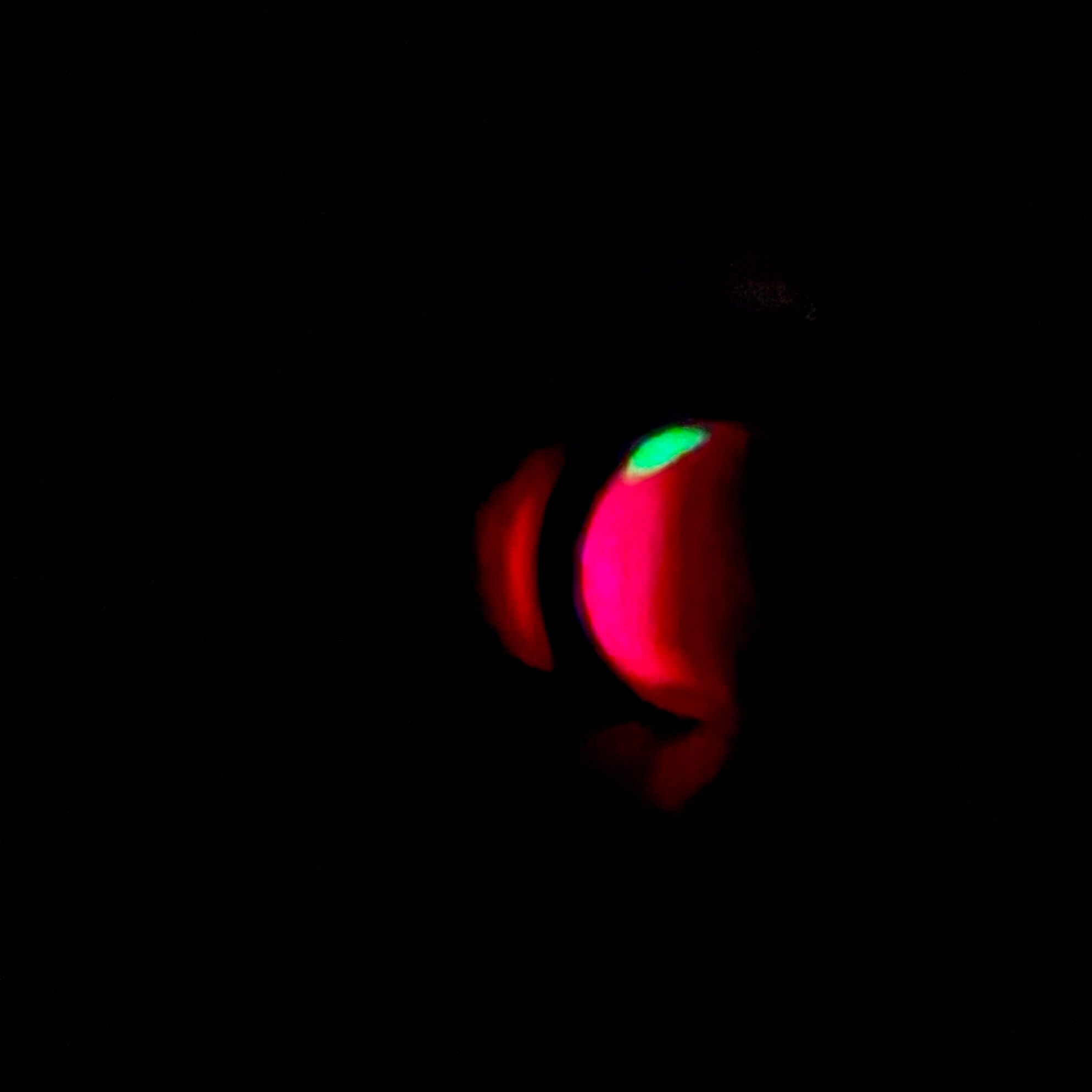 As I tried to depict in this photo, the new Oura Ring uses both sensors at the same time, which is meant to improve data accuracy.