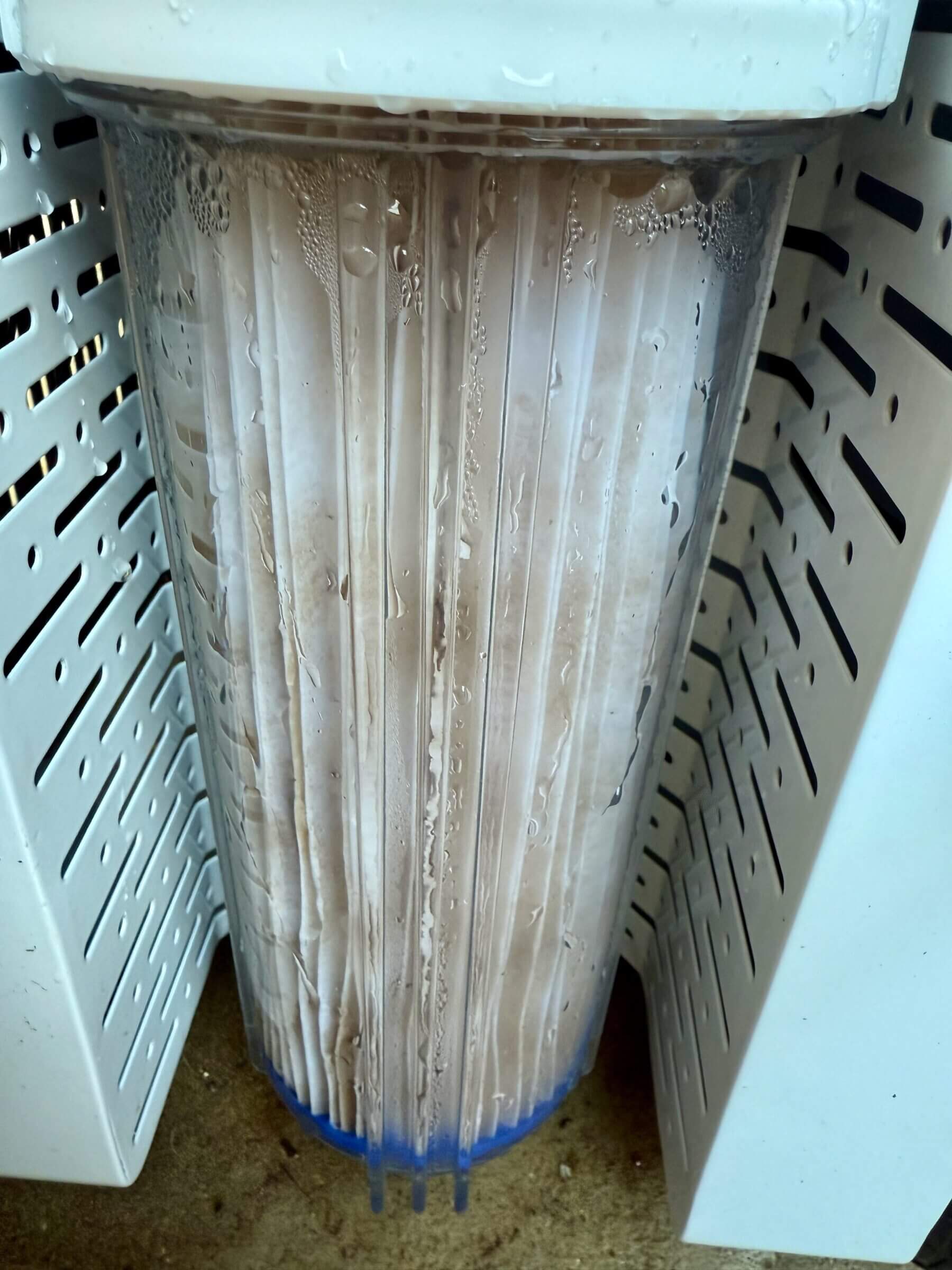 It's time to replace the pleated sediment filter.