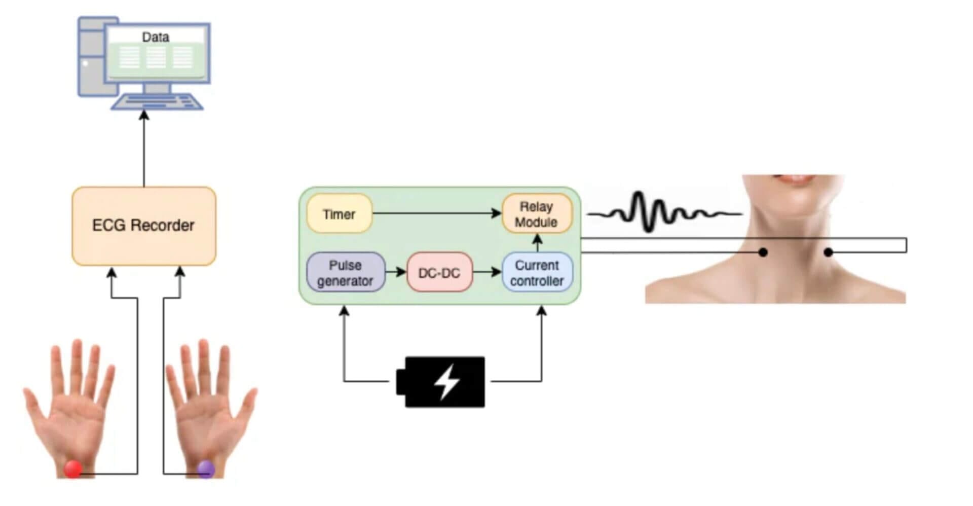 Diagram from Pulsetto's faked study.
