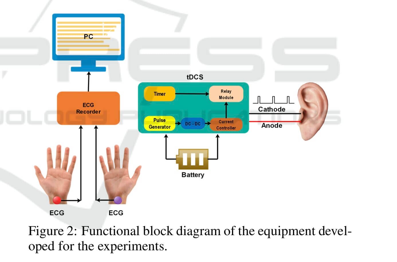 Diagram from the original (real) VNS study