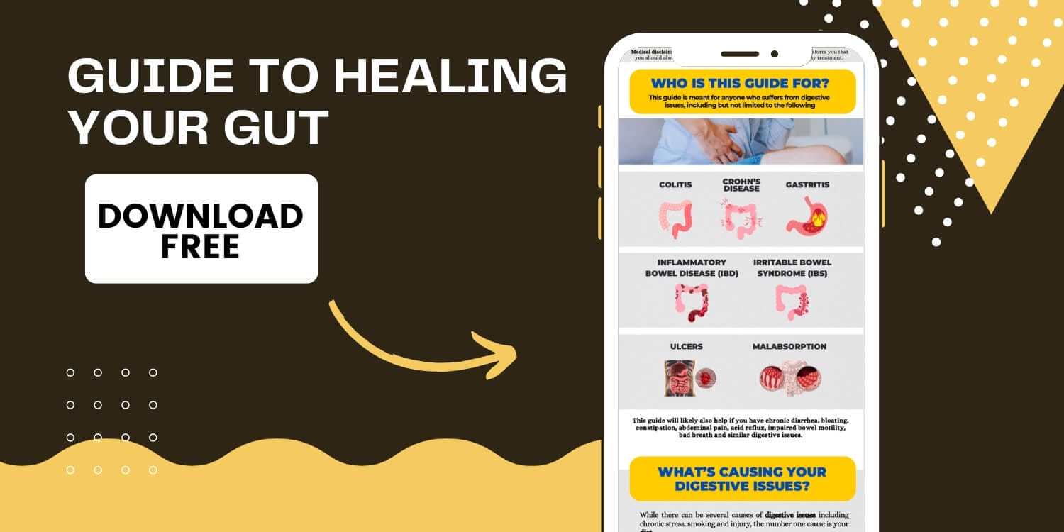 Michael Kummer's Gut Healing Guide